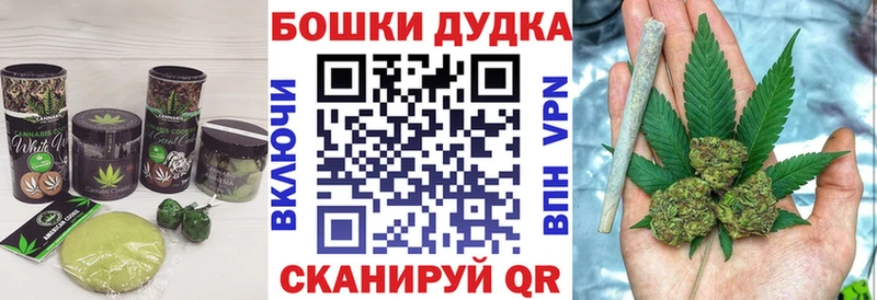 Canna-Cookies конопля  дарнет шоп  Онега 