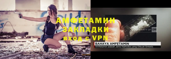 сатива Горняк