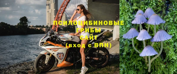 меф Гусь-Хрустальный